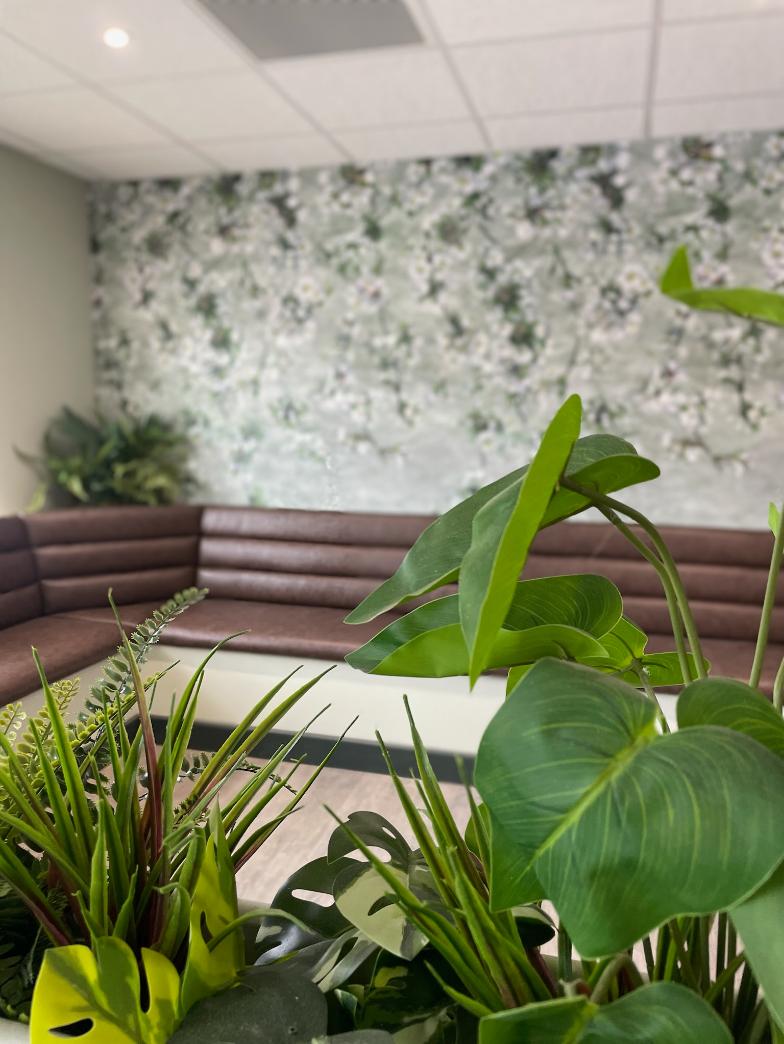 dental interior design